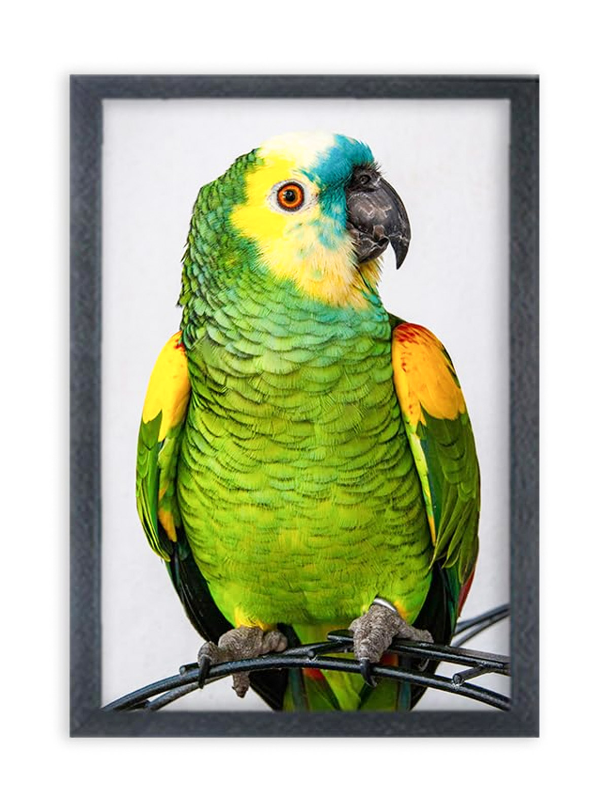 3 - 2025-11-17T120646.078