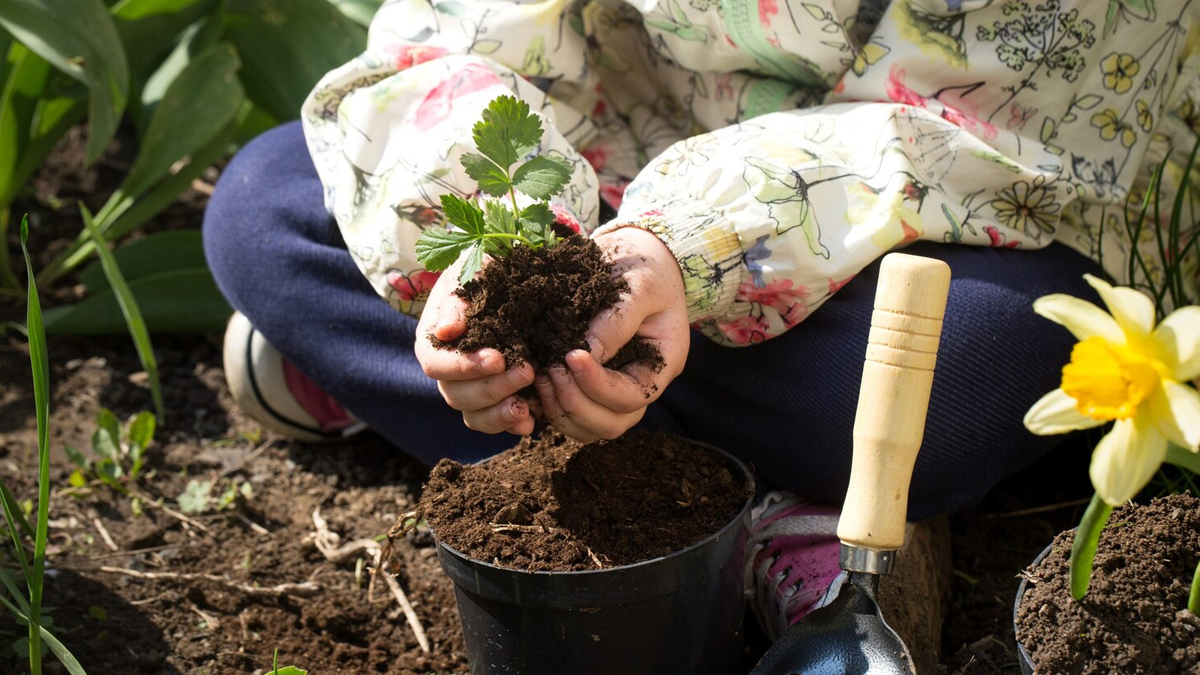 gardening tips in tip