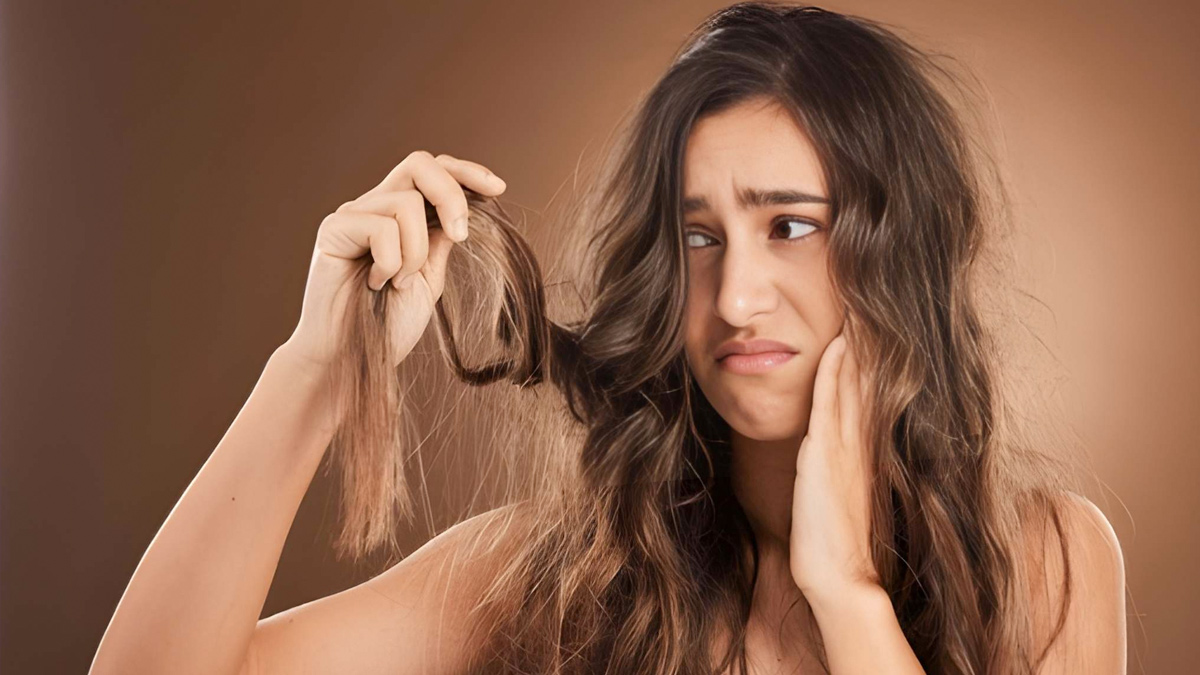 महंगे Shampoo नहीं, ये 3 'जादुई' तेल हैं डैमेज बालों का असली इलाज, झड़ना भी होगा तुरंत बंद