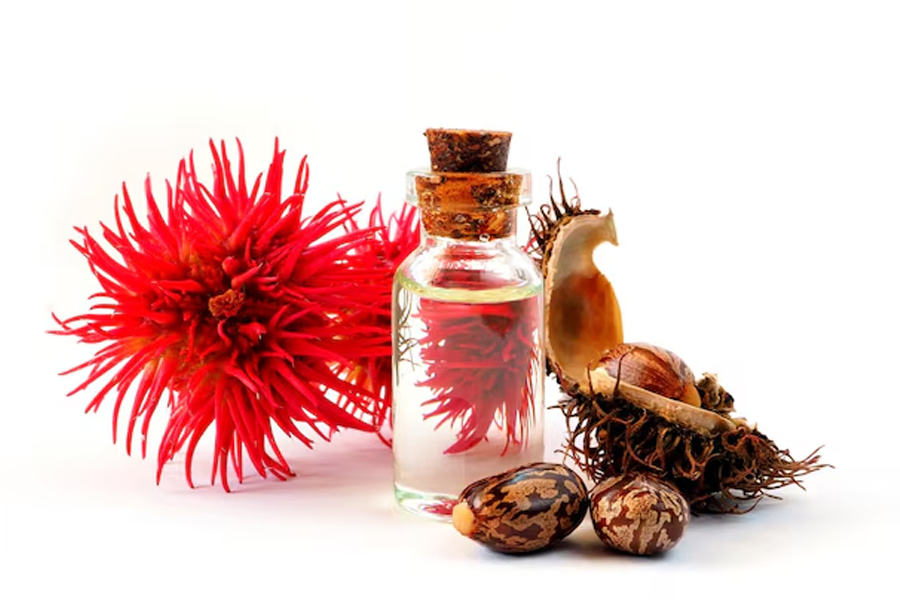 castor oil for dry and damaged hair