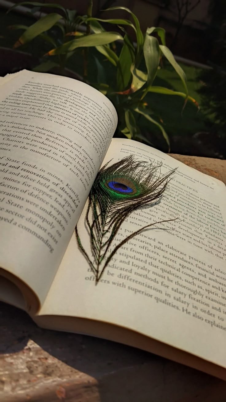 does keeping peacock feather in book leads to successful career