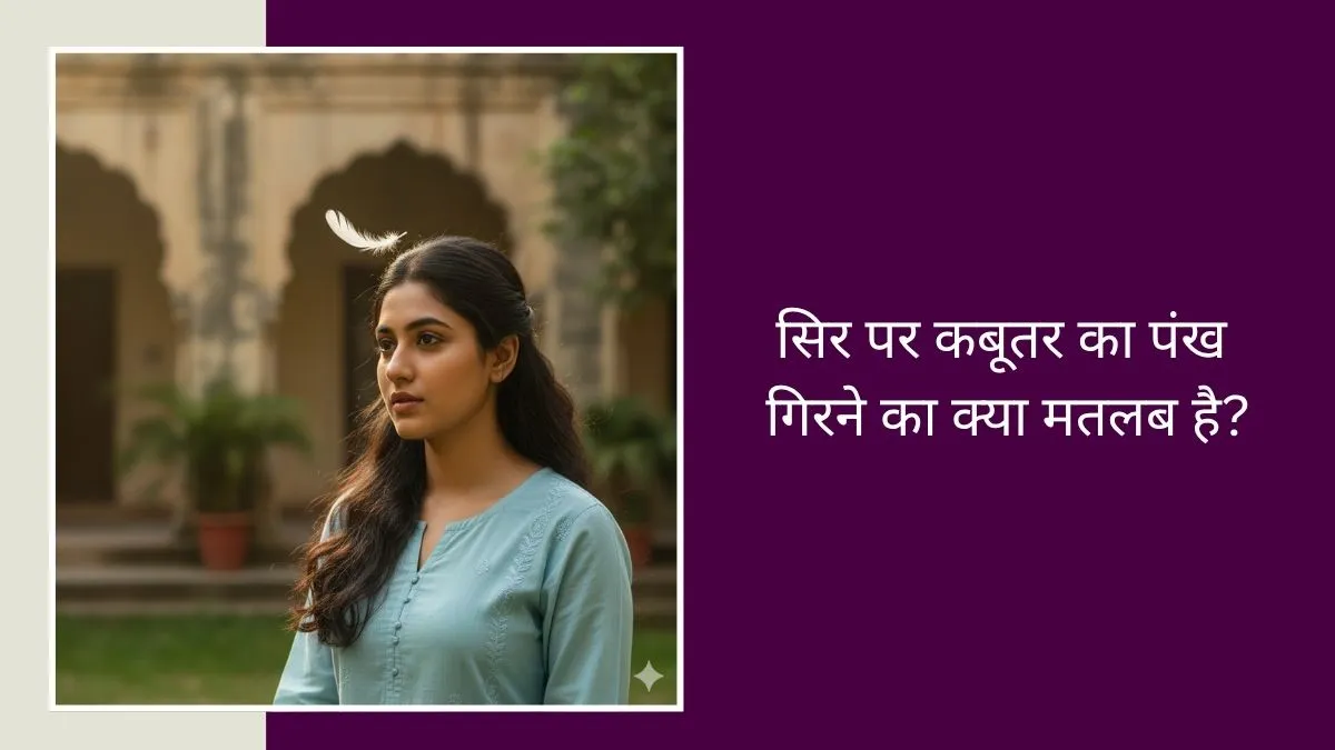 what does it mean if pigeon feather suddenly falls on our head