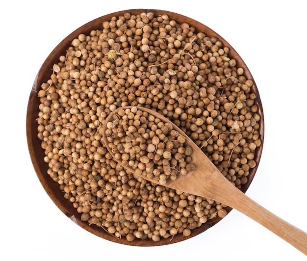 1 - 2025-11-19T133645.707