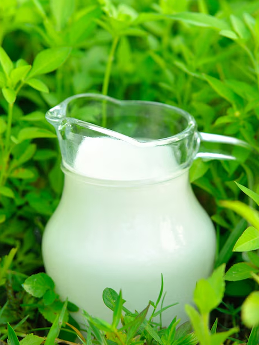 1 - 2025-11-20T162453.025