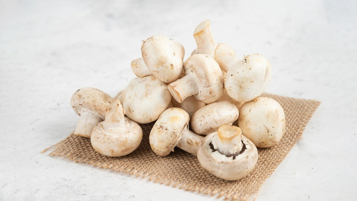 Mushroom Rice Cheese Samosa