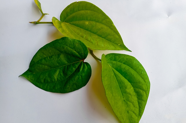 betel leave for throat infection