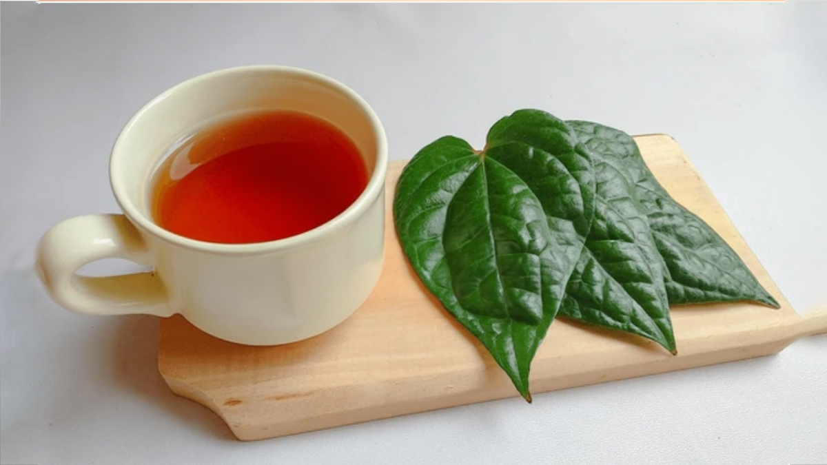 betel leave kadha for cough