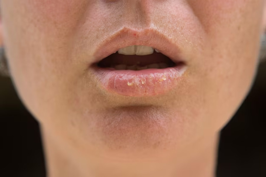 1 - 2025-11-24T111656.285