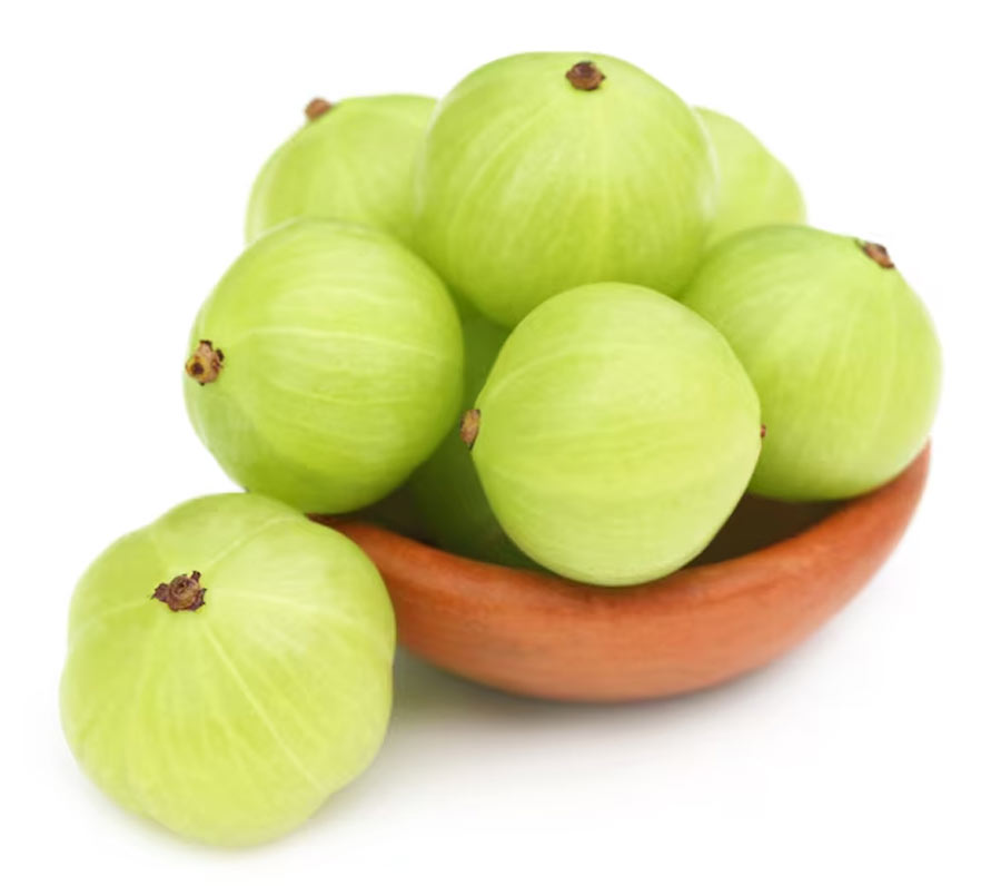 2 - 2025-11-24T113209.431