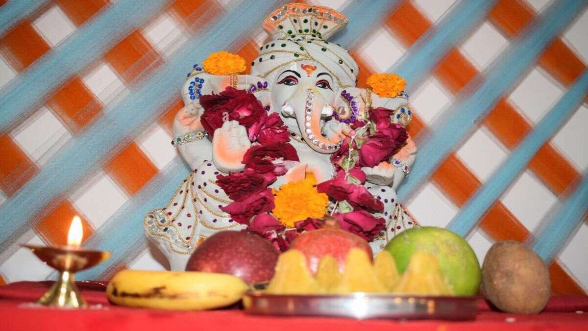 budhwar ke din dhaniya kyu nahi kharidna chahiye