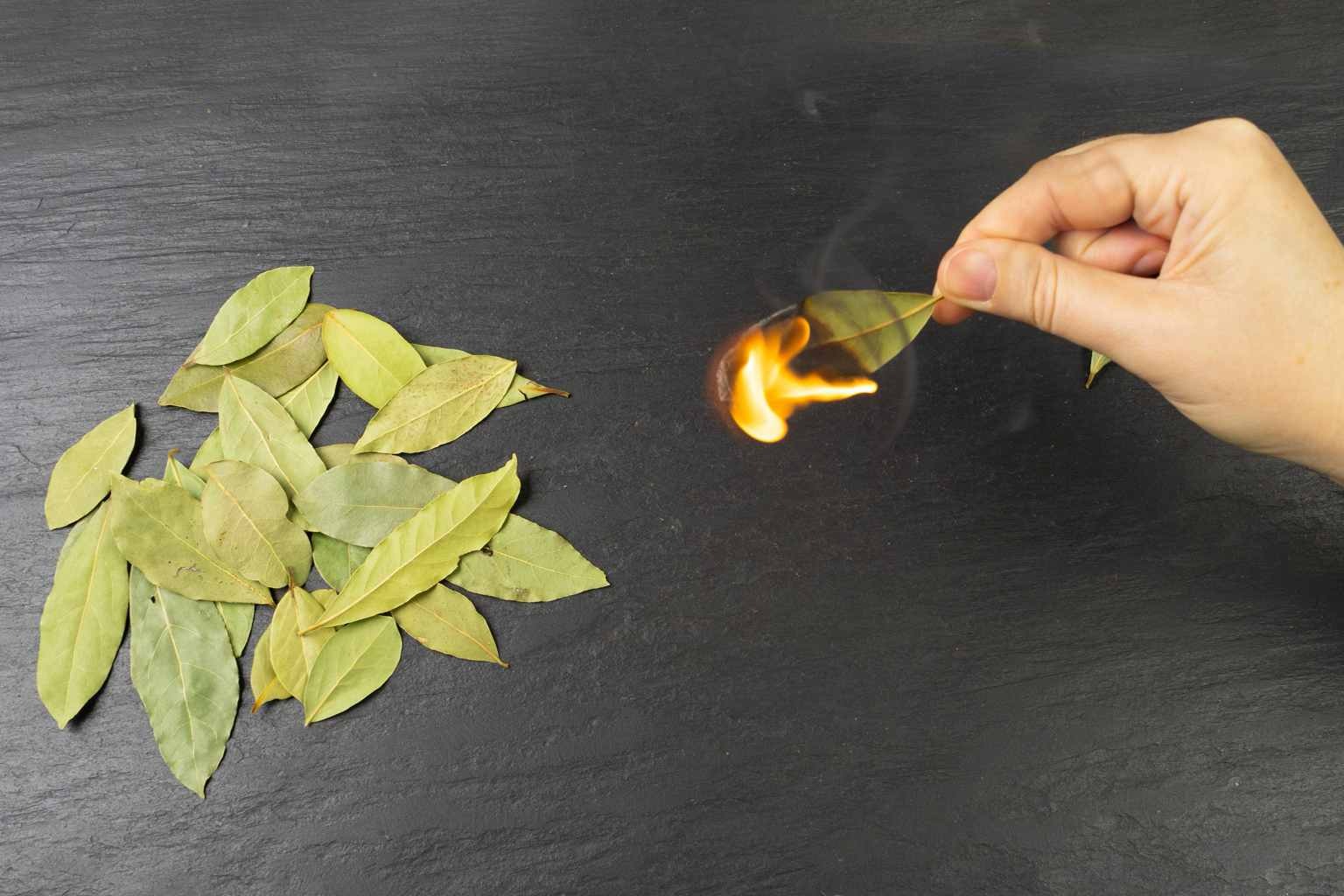 guruvar ke din tejpatta jalane ke fayde