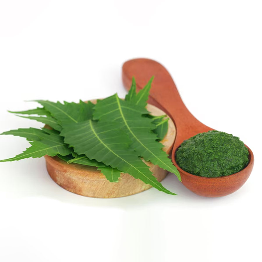 neem leaves