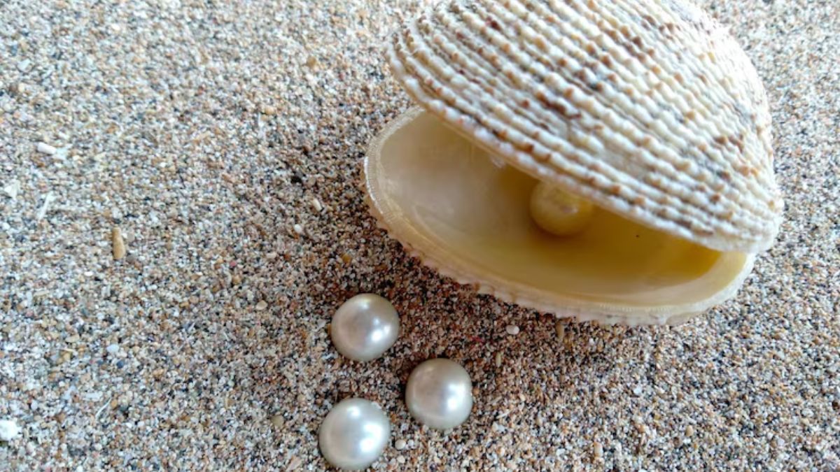 pearl jewellery markets in hyderabad (1)