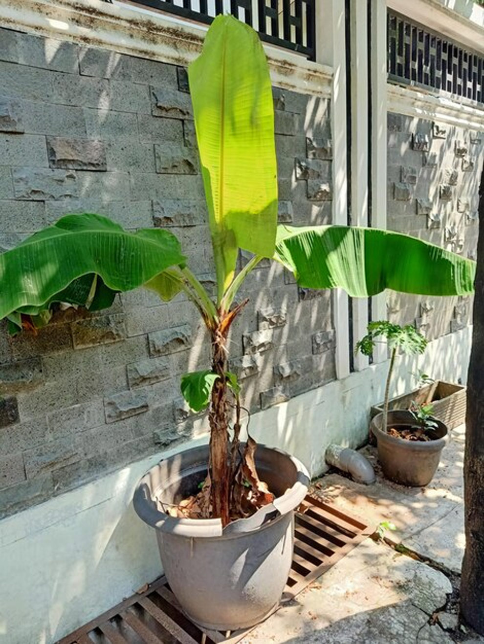 2 - 2025-11-27T120341.082