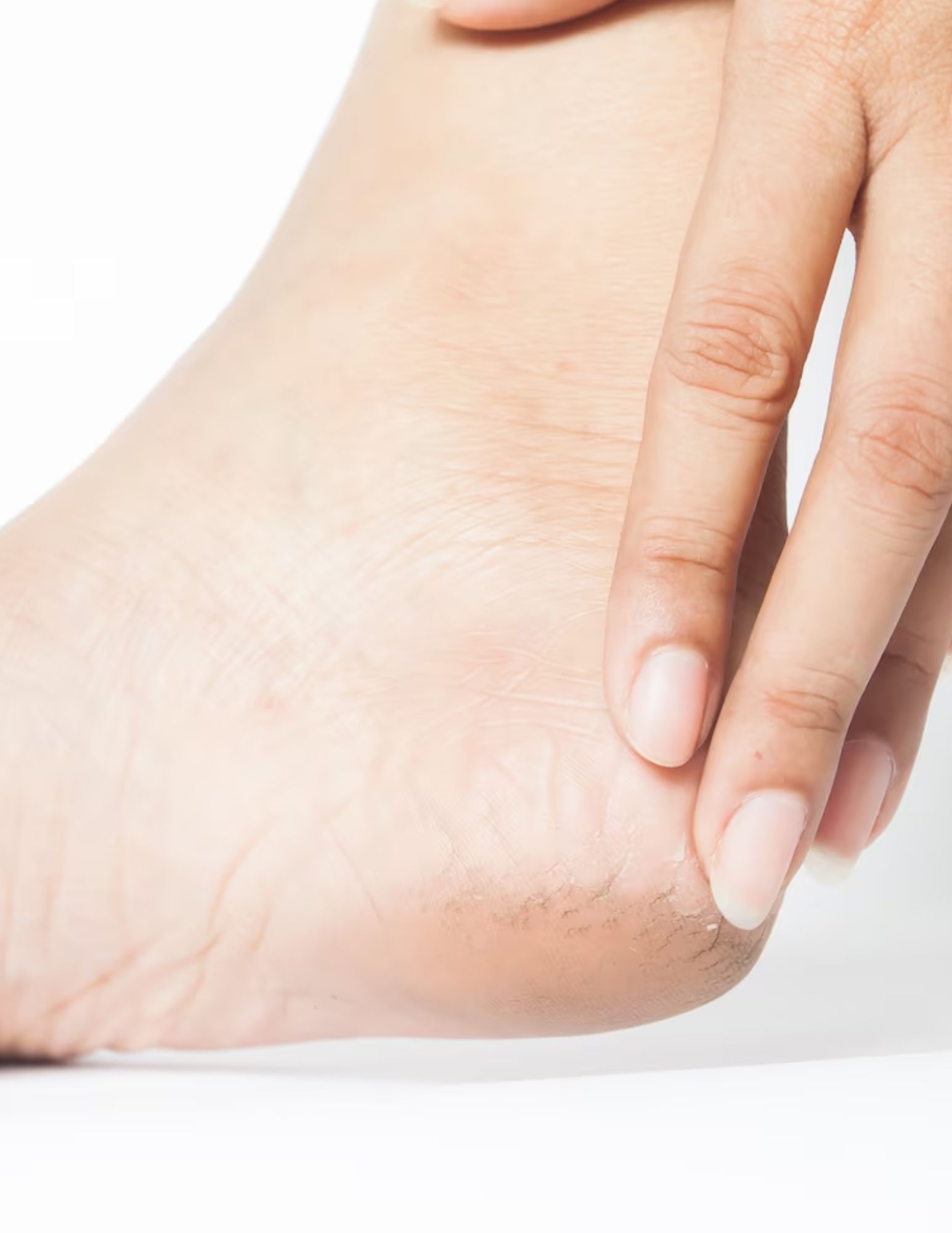 Untitled design (65)