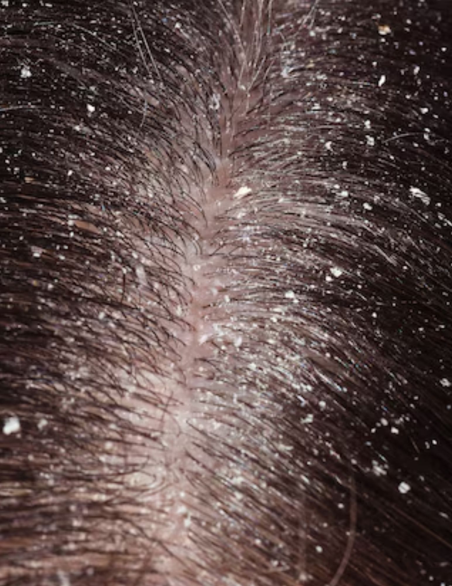 Untitled design (67)