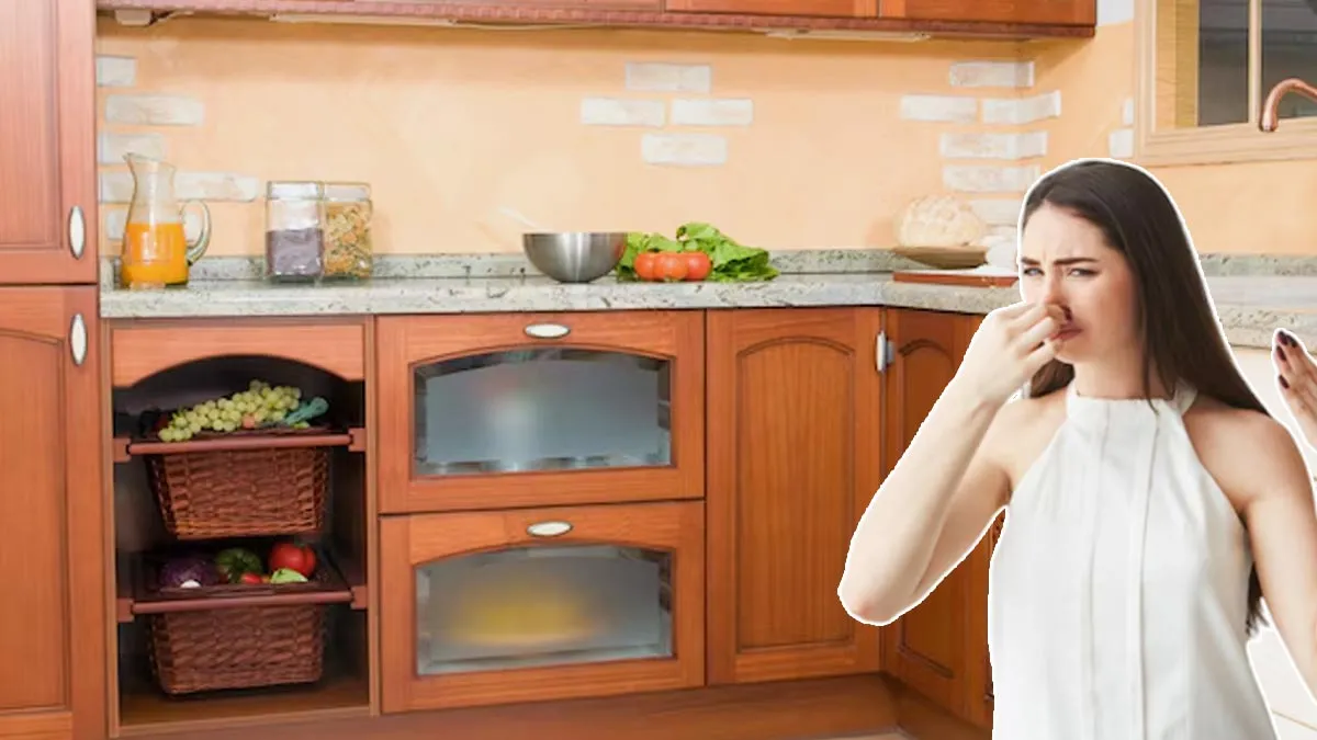 why does kitchen become damp and smelly in winter know reason and solution