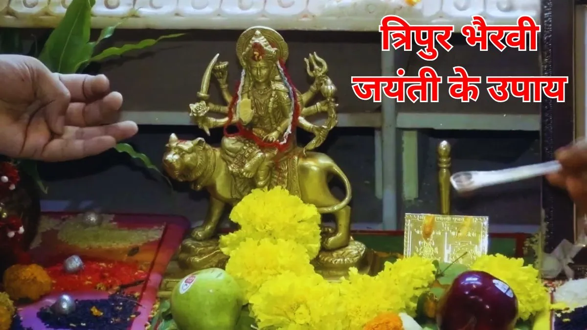 tripur bhairavi jayanti 2025 upay