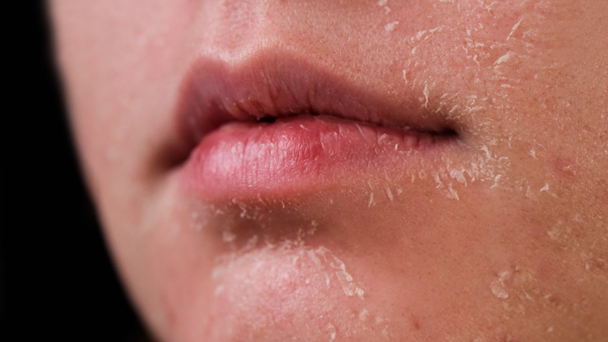 2 - 2025-12-01T160536.757