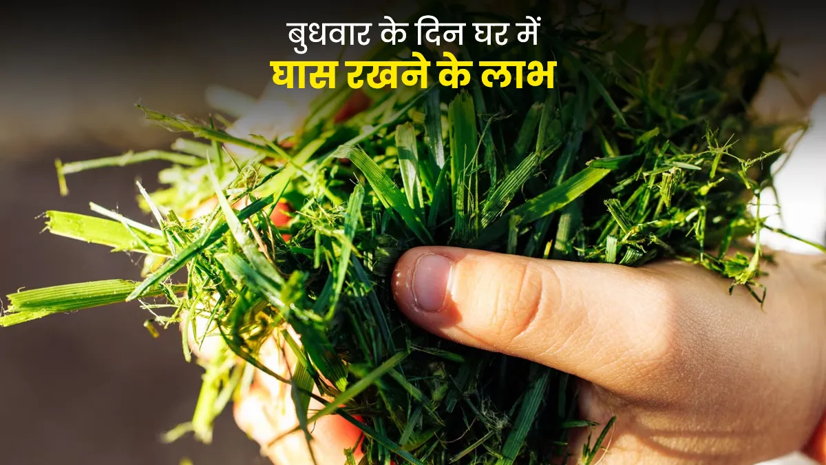 significance of keeping grass at home