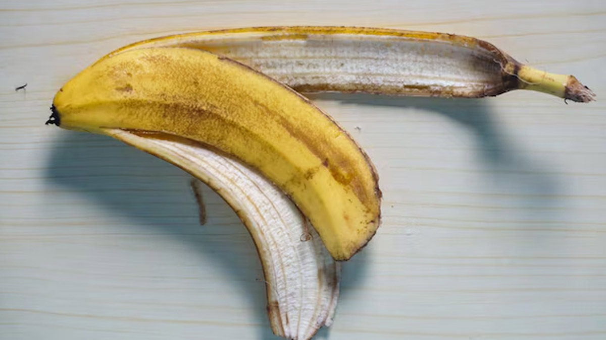 2 - 2025-12-02T160204.452