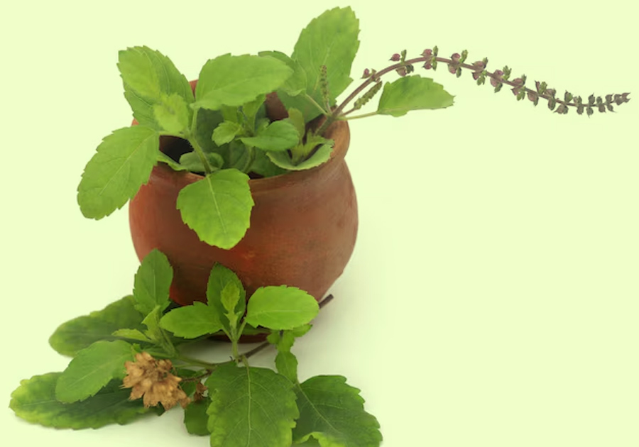 2 - 2025-12-03T131809.307