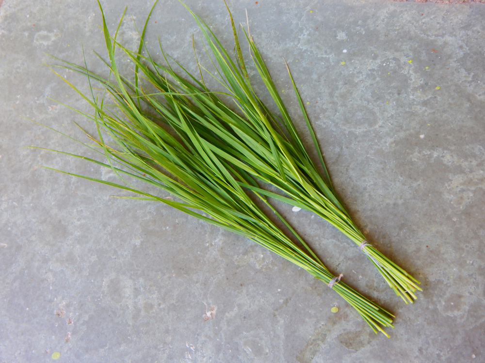 3 - 2025-12-03T131813.726