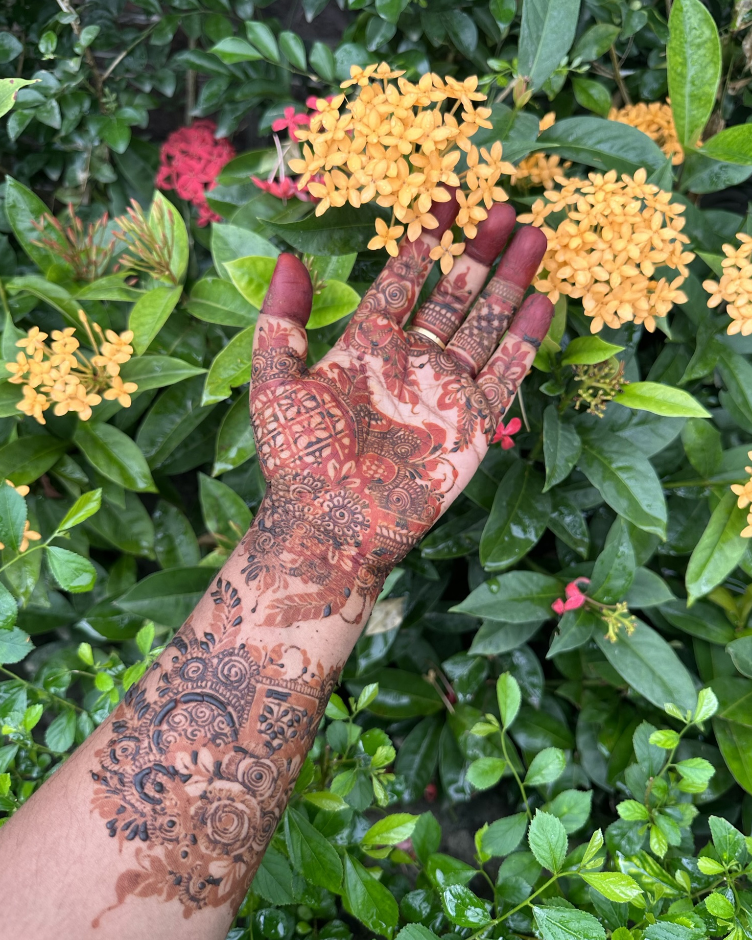 4 - 2025-12-03T145459.255