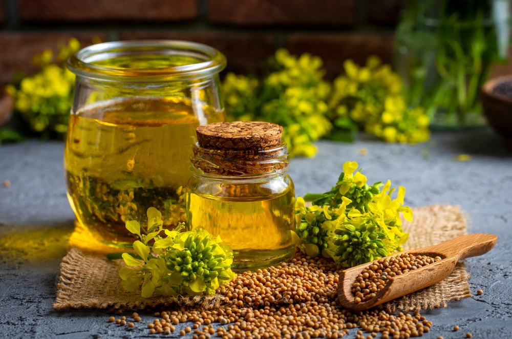 mustard oil benefits
