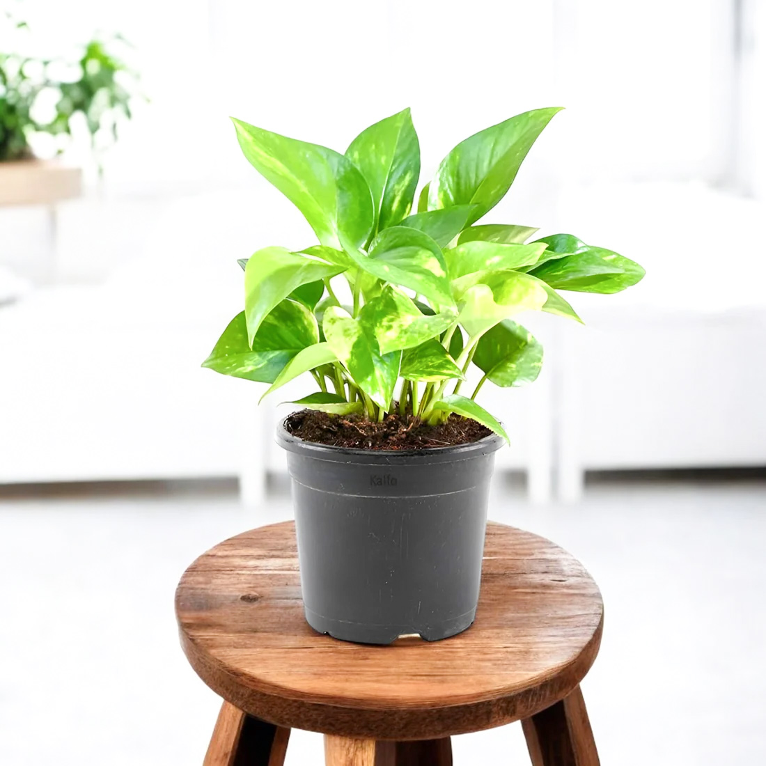 1 - 2025-12-05T130825.215