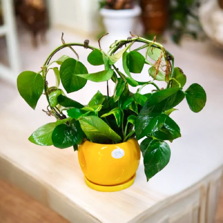 2 - 2025-12-05T130818.980