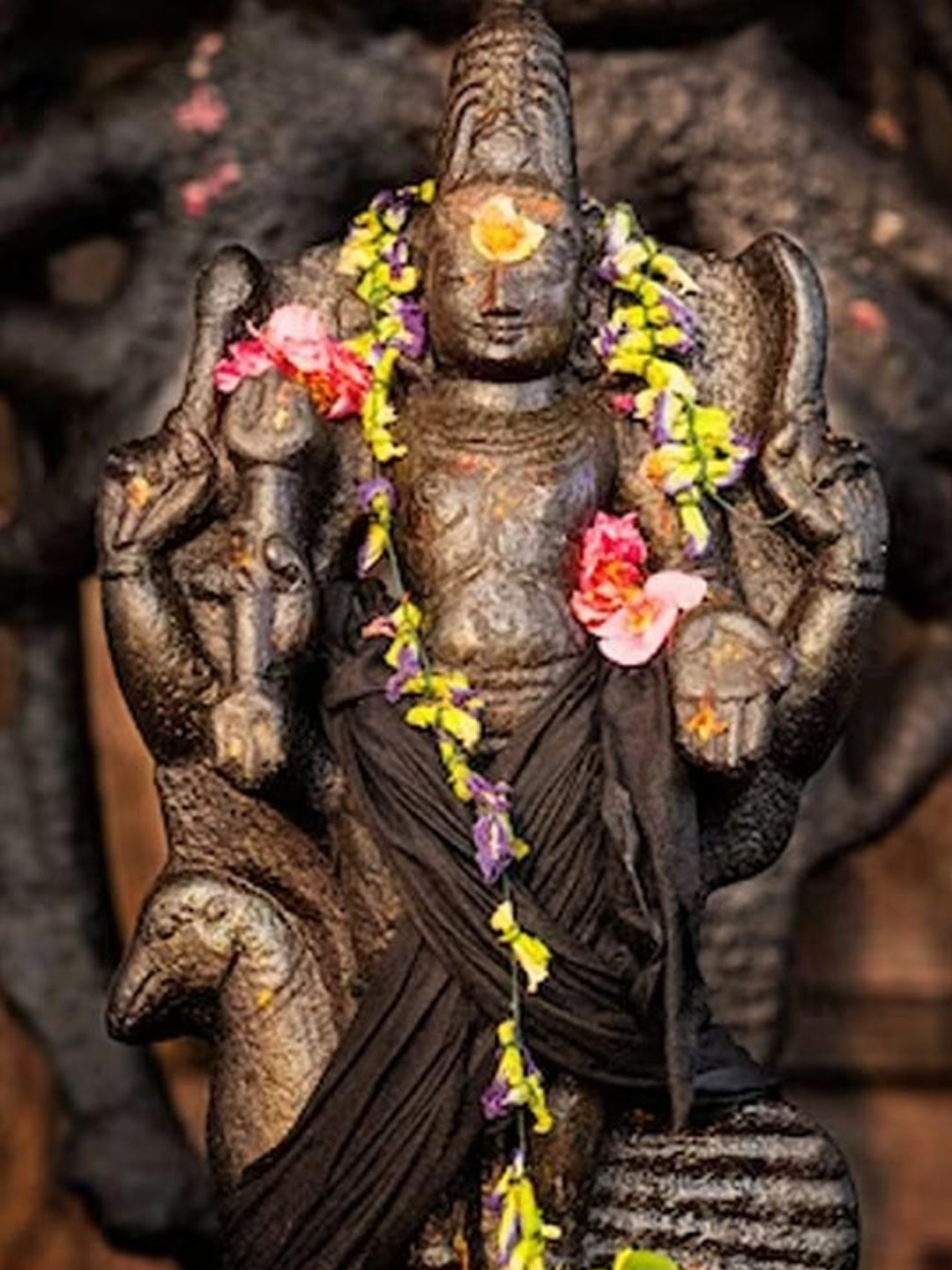 is it right to we keep fast for shani dev on saturday