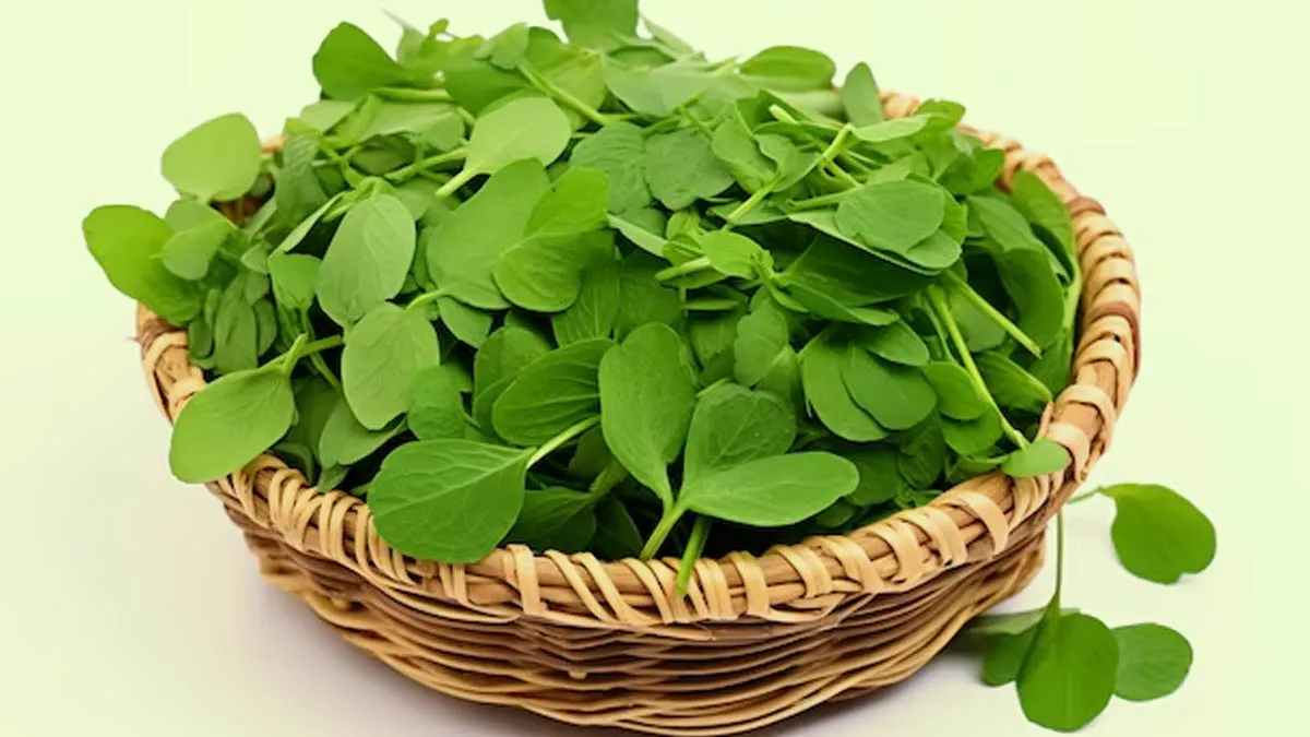 how to make bharwa methi paratha masala easily know step by step processs