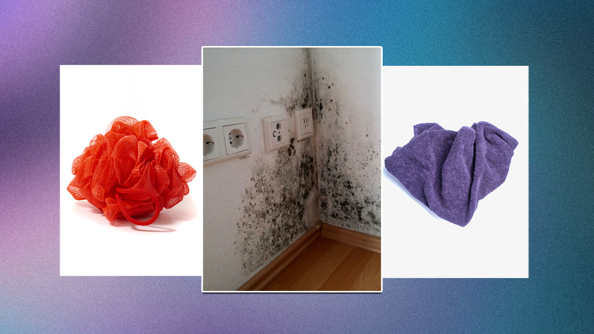 Kitchen Towel से लेकर दीवारों पर लगी फफूंद तक, घर की ये चीजें सेहत का करती हैं कबाड़ा﻿
