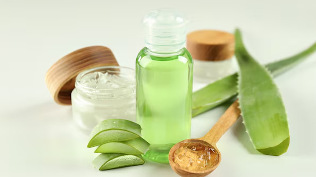 1 - 2025-12-08T180415.072