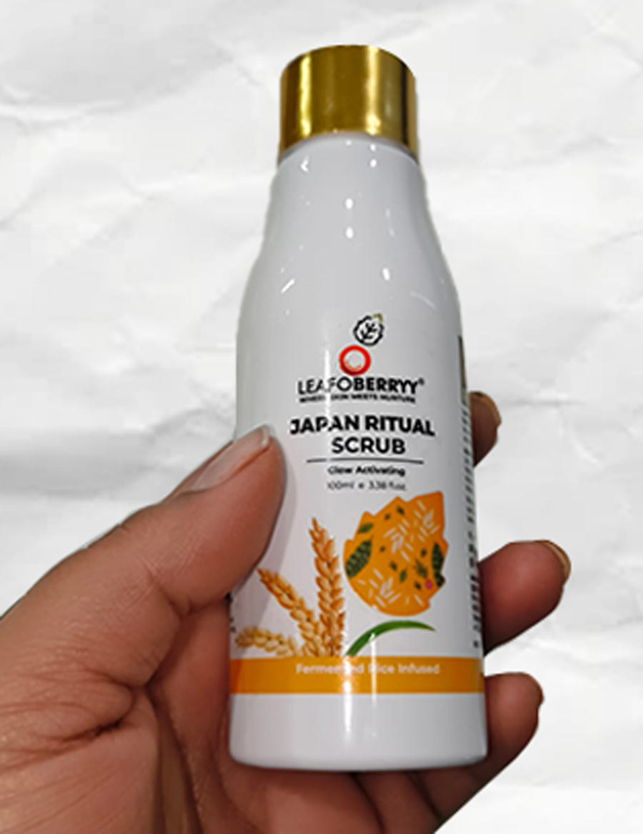 2 - 2025-12-08T163309.629