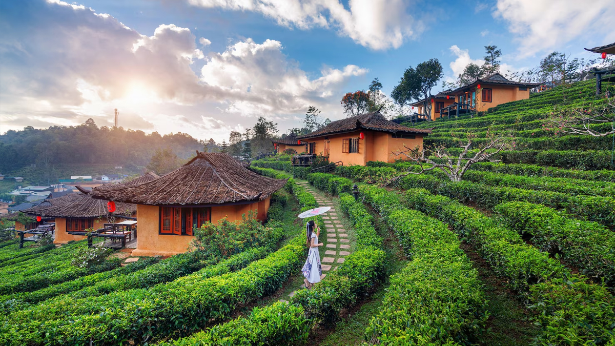 2 - 2025-12-08T174748.634