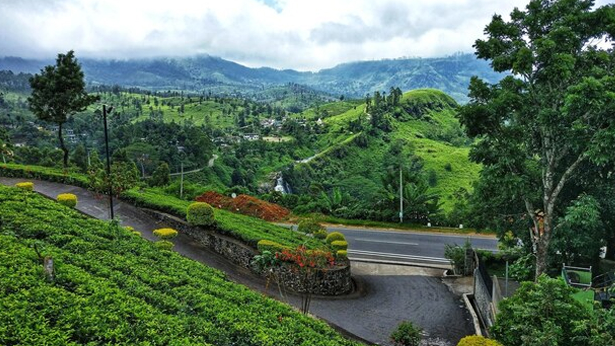 4 - 2025-12-08T174833.386