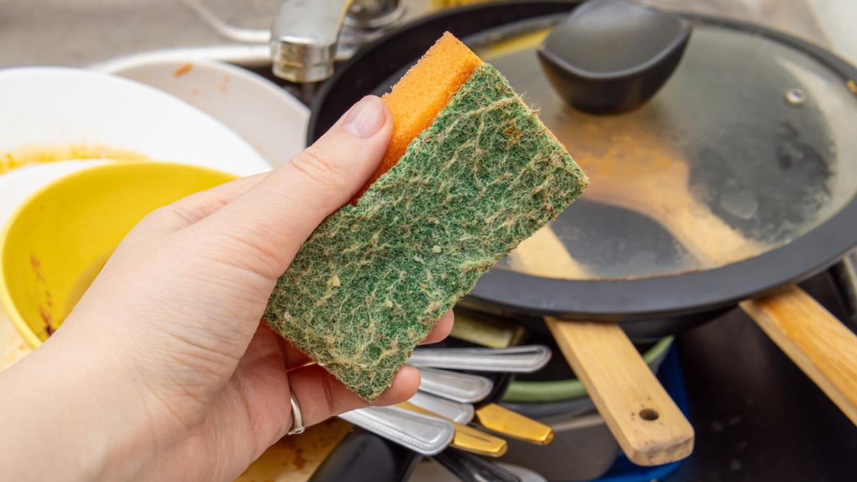Kitchen dirty sponges
