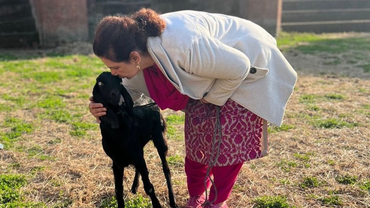 navjot kaur siddhu (2)