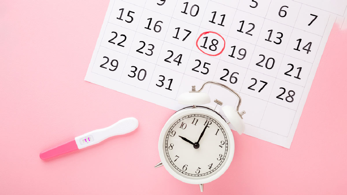 pregnancy and periods after delivery