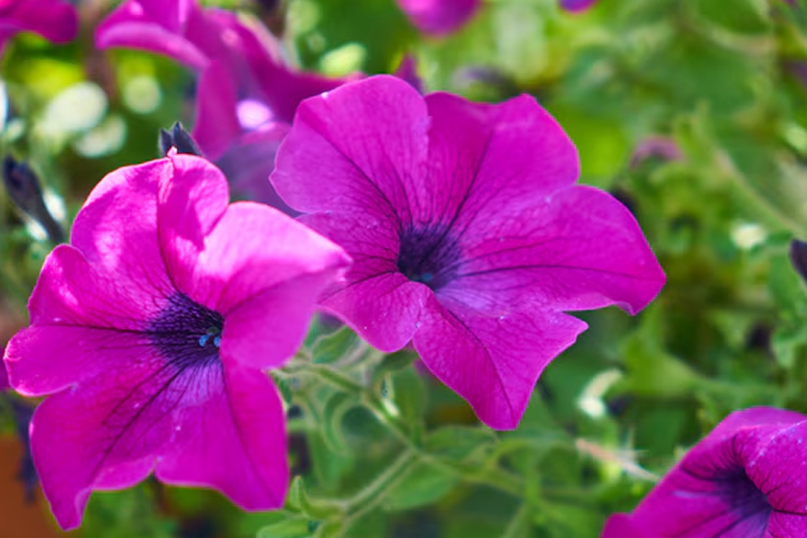 2 - 2025-12-11T213422.746