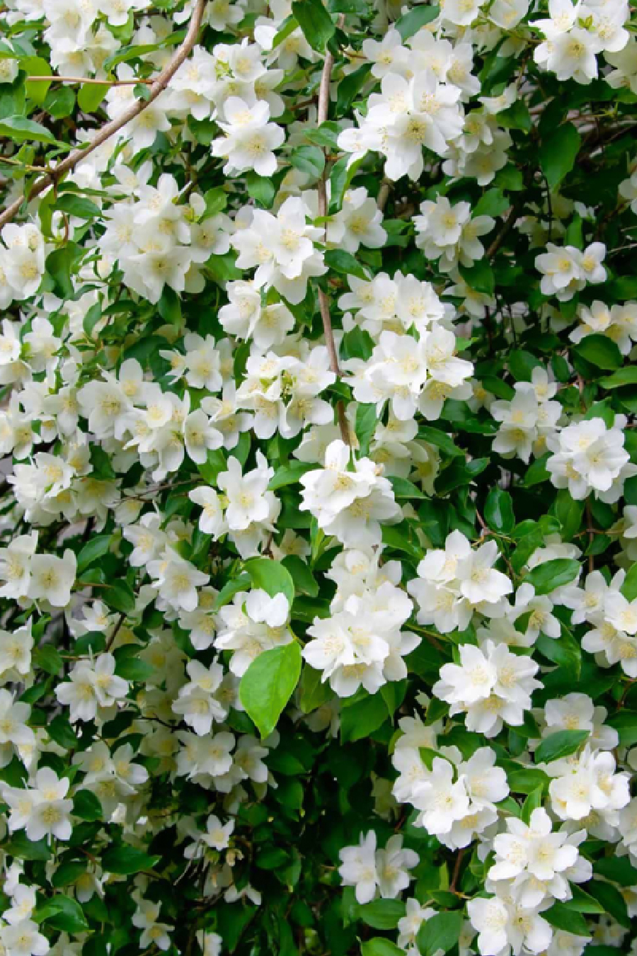 4 - 2025-12-11T213406.368