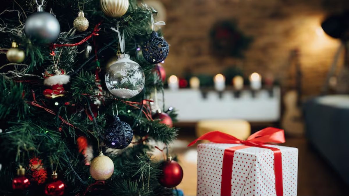 christmas day 2025 (1)