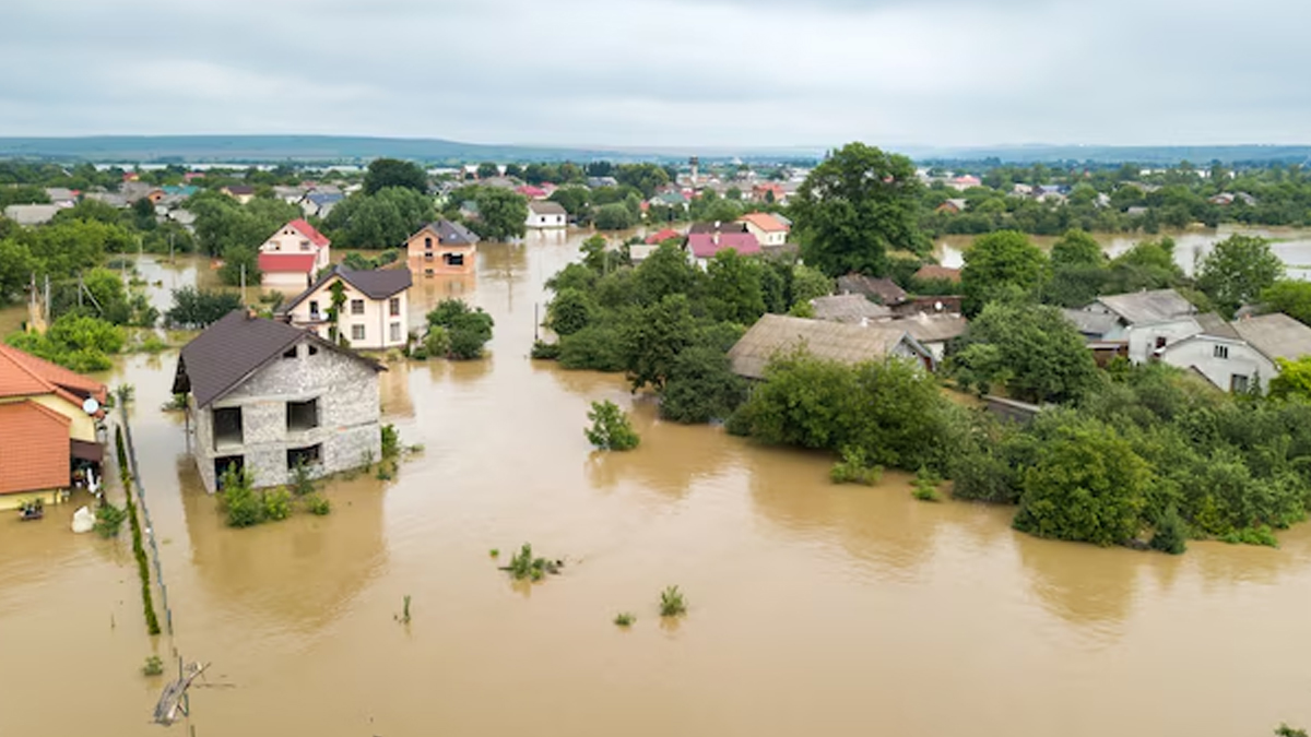 1 - 2025-12-12T154954.114