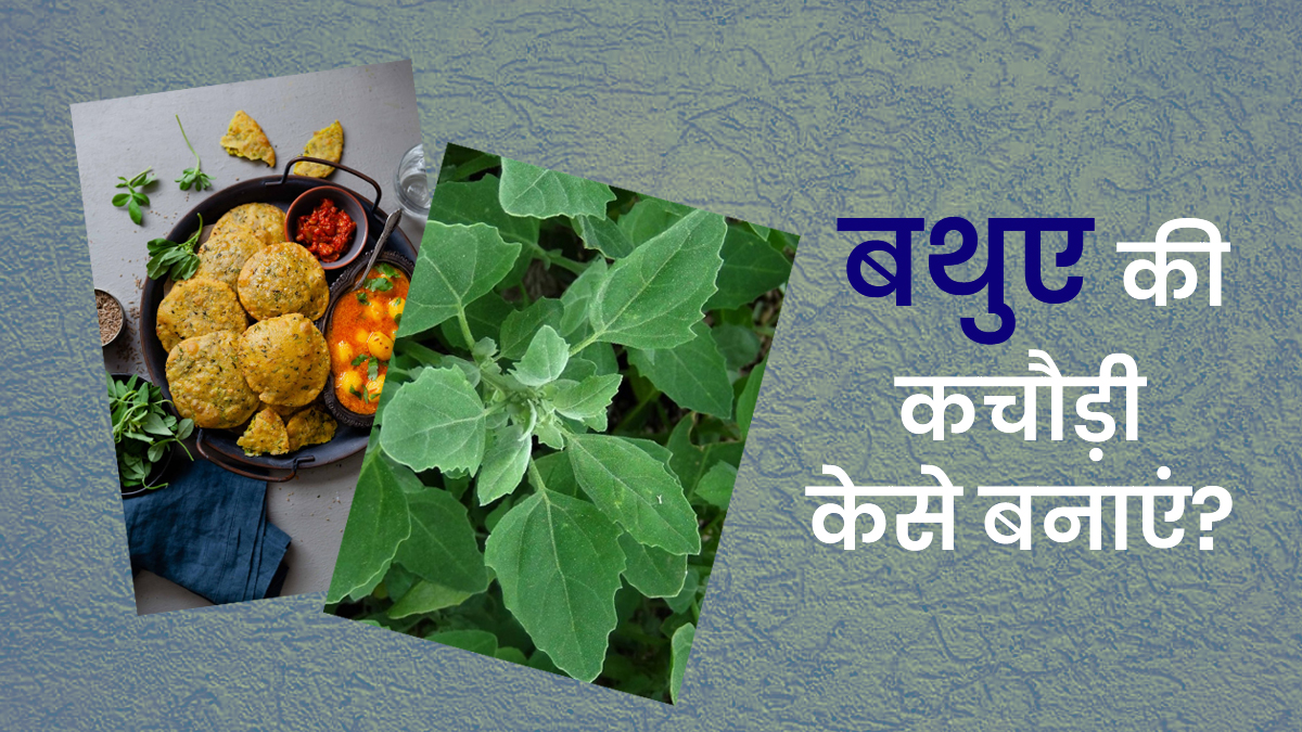 Bathua Kachori Recipe: घर पर बनाएं क्रिस्पी, सॉफ्ट और फूली हुई बथुए की कचौड़ी, 3 अलग-अलग विधि से बदलें स्वाद का अंदाज