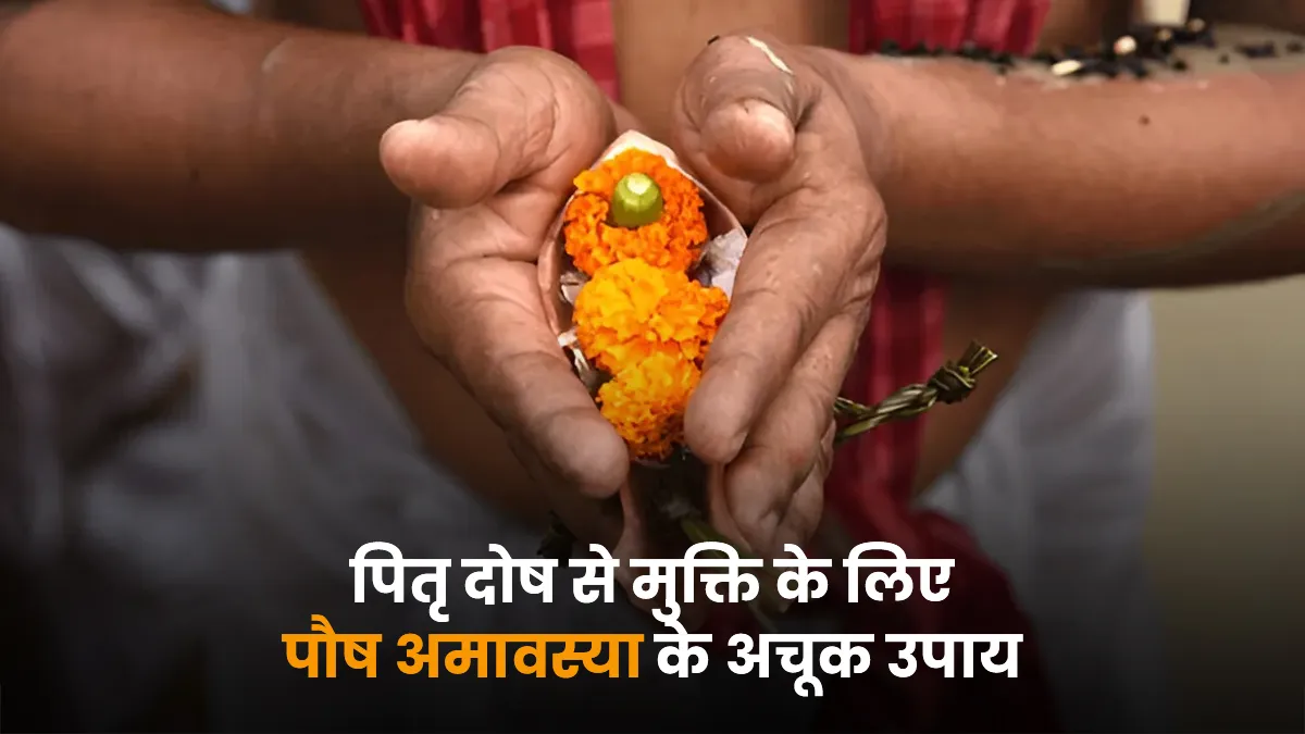 paush amavasya 2025 upay