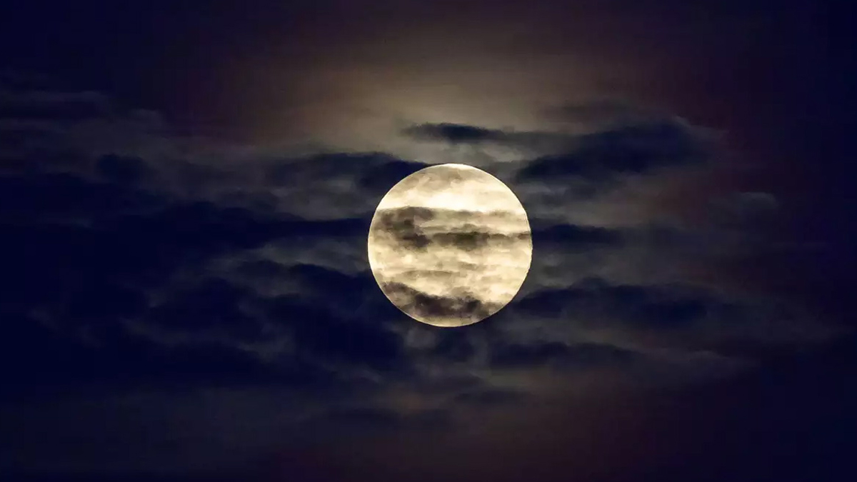 paush amavasya 2025 ke upay