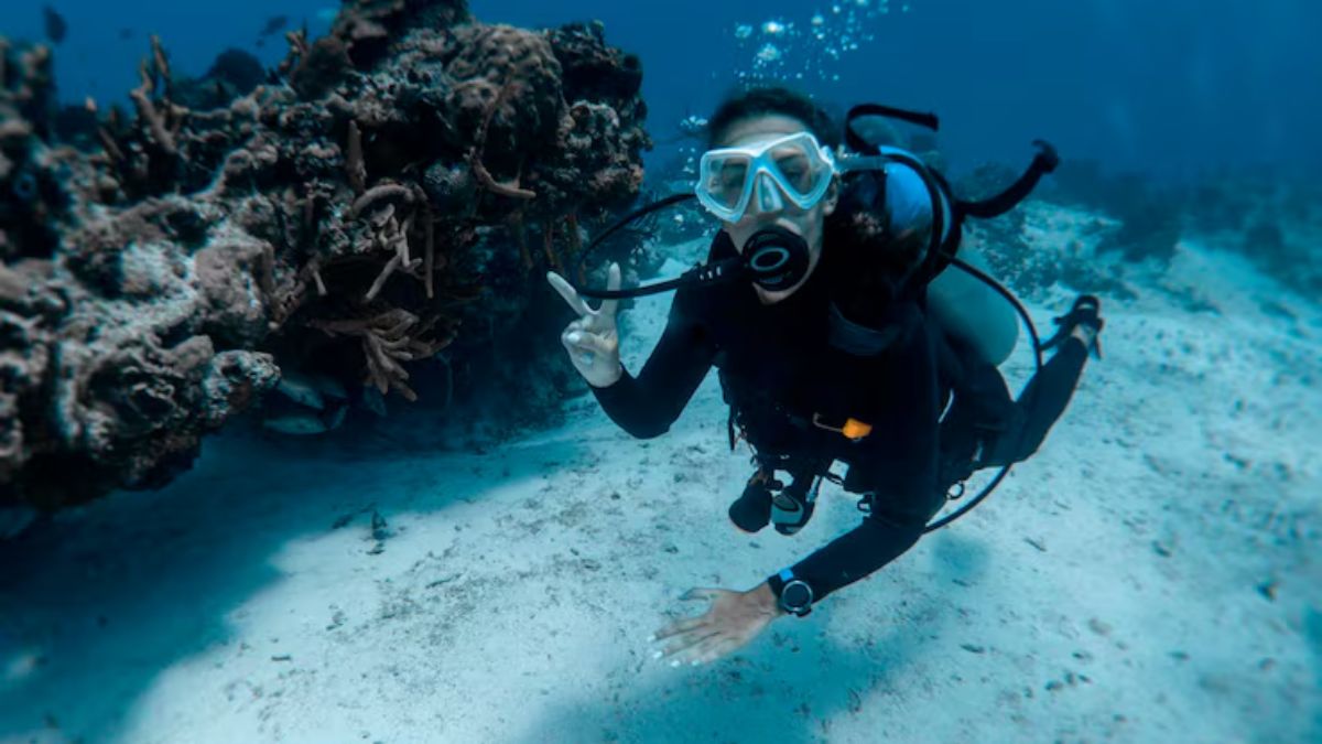 suba diving