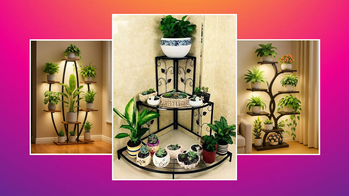 Plant Stand Ideas: पौधे रखने के लिए ये 5 प्लांट स्टैंड्स हैं परफेक्ट, जो बढ़ा देंगे आपके घर की सुंदरता